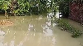 33 desa di 12 kecamatan di Kabupaten Grobogan, Jawa Tengah, terendam banjir. (Dok. BNPB)