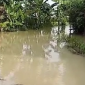 33 desa di 12 kecamatan di Kabupaten Grobogan, Jawa Tengah, terendam banjir. (Dok. BNPB)
